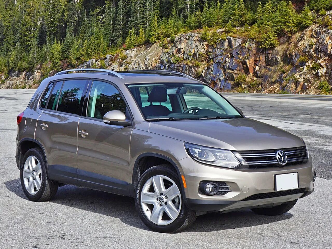 Тигуан лошади. Vw tiguan 2015. volkswagen тигуан 2015. фольксваген тигуан 2015 года. tiguan 2015 2.0.