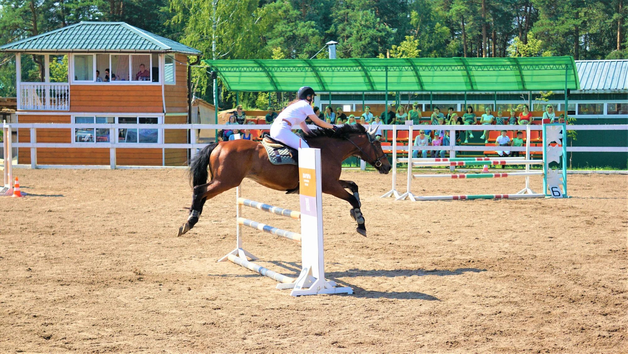 Конная школа олимпийского резерва