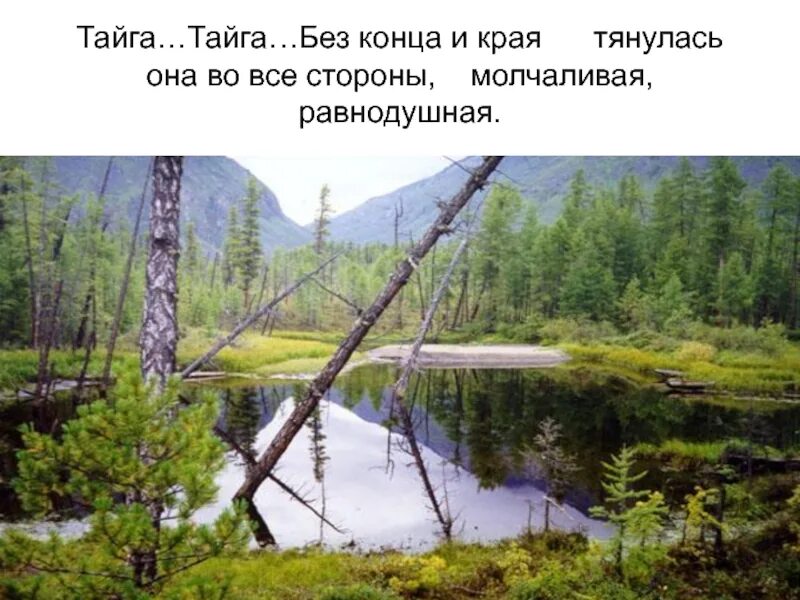 Васюткино озеро конец. Васюткино озеро конец. Астафьев в. Васюткино озеро слайды. Васюткино озеро астафьев тайга.