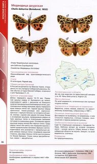 Красная книга нсо