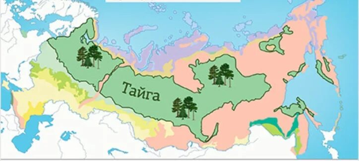 Границы тайги на карте. Место тайги на карте. Место тайги на карте. Место тайги на карте. Место тайги на карте.