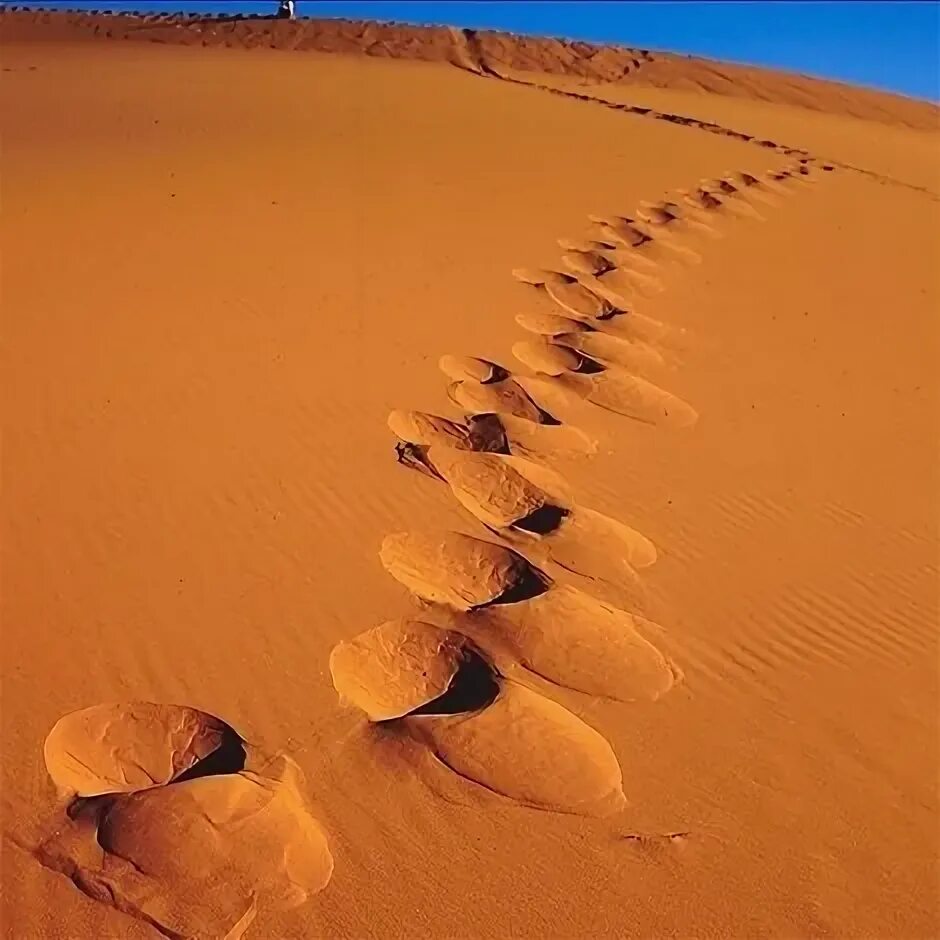 гражданская лирика. текст однажды я гулял по песчаному берегу моря. «песчаный берег моря»сёра. берег моря маслом. сломанный песчаный замок.