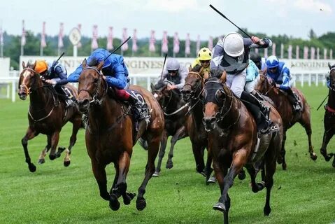 Ascot horse racing