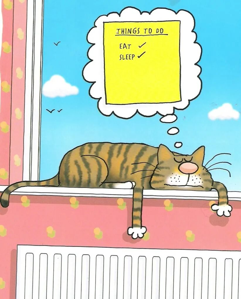 Catnap 3 версии. Cat nap рисунок. catnap рисунок. cat nap комикс. cat nap рисунок catnap.