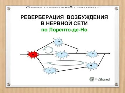 Реверберация