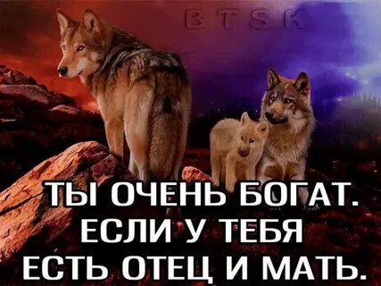 Ты богаче чем ты думаешь