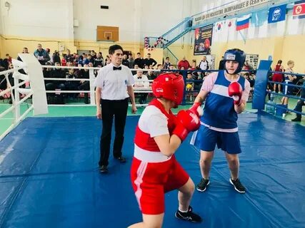 Бокс южная