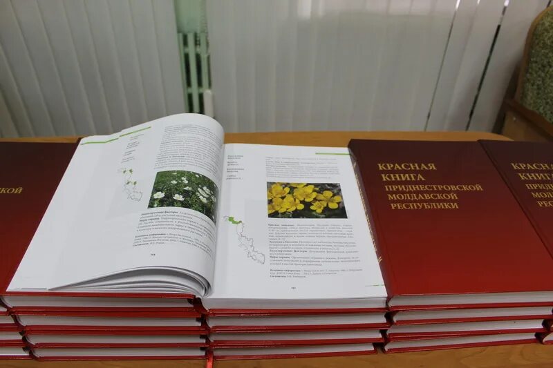 Монеты приднестровья красная книга. Монеты приднестровья красная книга. Черный аист красной книги пмр. Красная книга приднестровья. Красная книга приднестровья.