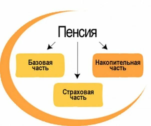 Пенсия состоит из трех частей. Базовая страховая и накопительная пенсия. Страховая и накопительная часть трудовой пенсии. Базовая часть страховой пенсии. Базовая и накопительная часть пенсии.