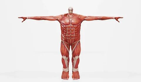 Colossal Titan from Attack On Titan 2 - Free 3D Model by Migs.