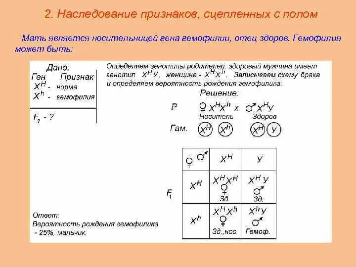 Определите вероятность в процентах появления рецессивной. Аутосомно доминантный Тип наследования гемофилия\. Задачи по генетике генотип пола. Признаки сцепленные с полом гемофилия. Задачи на генетику с полом.