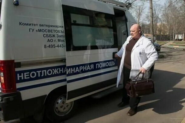 сббж кондратюка 7. станция по борьбе с болезнями животных свао. ветклиника ул отрадная д. ветеринарная клиника свао москва. отрадное д 2 ветклиника.