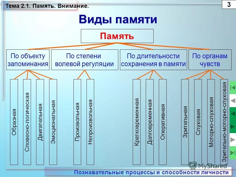 Память относится к психическим