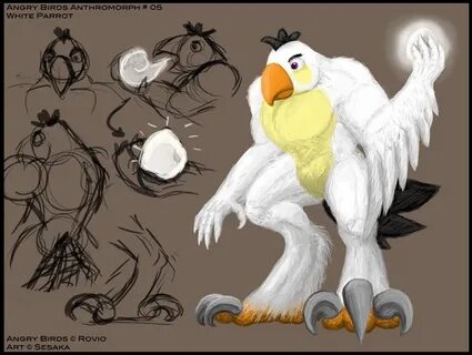 Whitebird io
