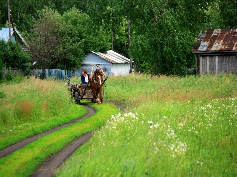 Про переехавших в деревню. Лето в деревне. Дорога в деревне. Современная деревня. Жизнь в деревне летом.