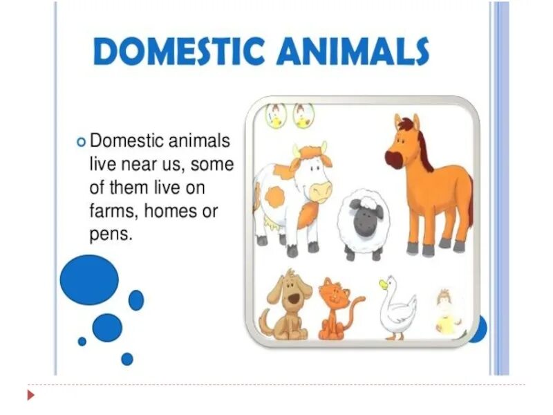 Domestic перевод на русский. Названия животных на англ. Domestic and wild animals. Переводчик животных. Дикие и домашние животные.