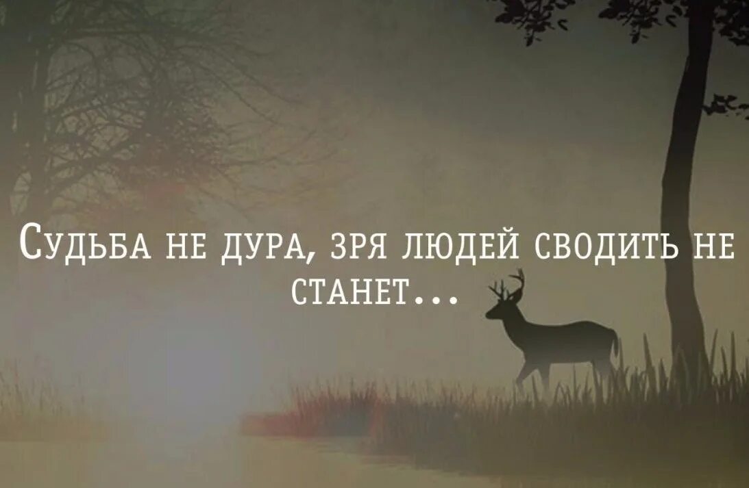 Судьба приведет к своему человеку. Мудрость с юмором. не отвергайте людей. статус зря люди отталкивают. идиотка это судьба.