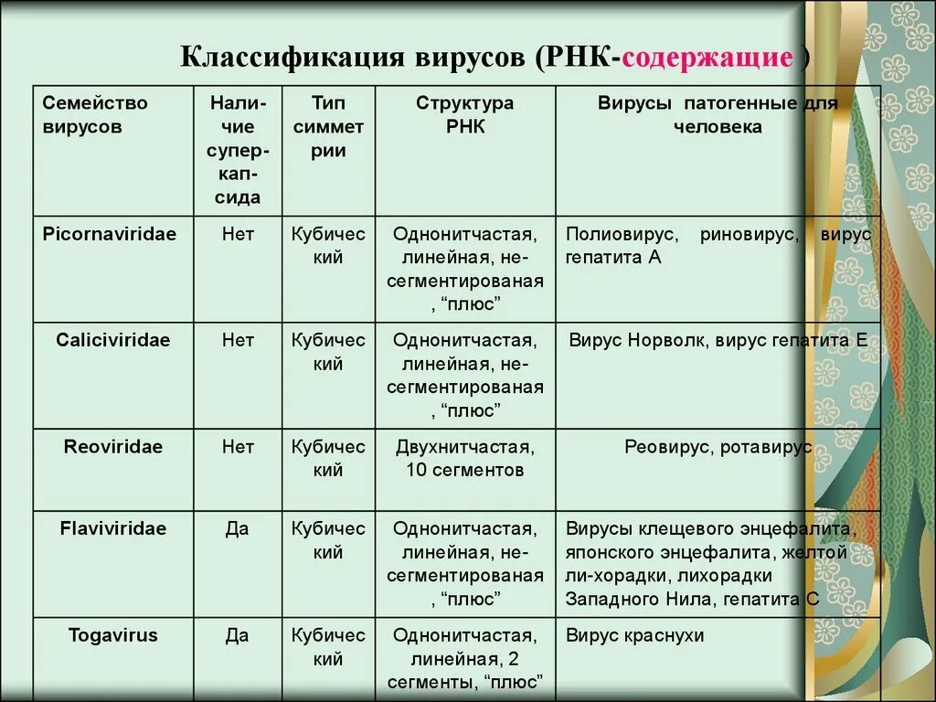 К рнк вирусам относятся вирусы. Классификация вирусов ДНК И РНК. РНК содержащие вирусы классификация. РНК вирусы вирусы. РНК содержащие вирусы.