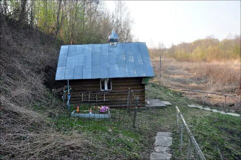 Погода прискуха