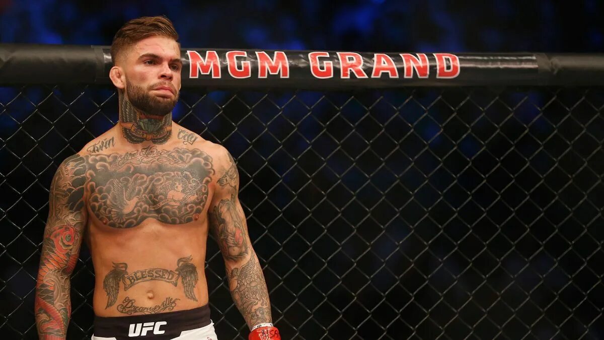 Гарбрандт. UFC Cody Garbrandt. Коди Гарбрандт и Конор МАКГРЕГОР. Коди боец юфс. Тату Коди Гарбрандта.