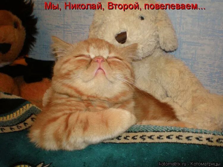 после бани хочется спать. я спать. после бани хочется спать. после бани хочется спать. чуть чуть поспать.