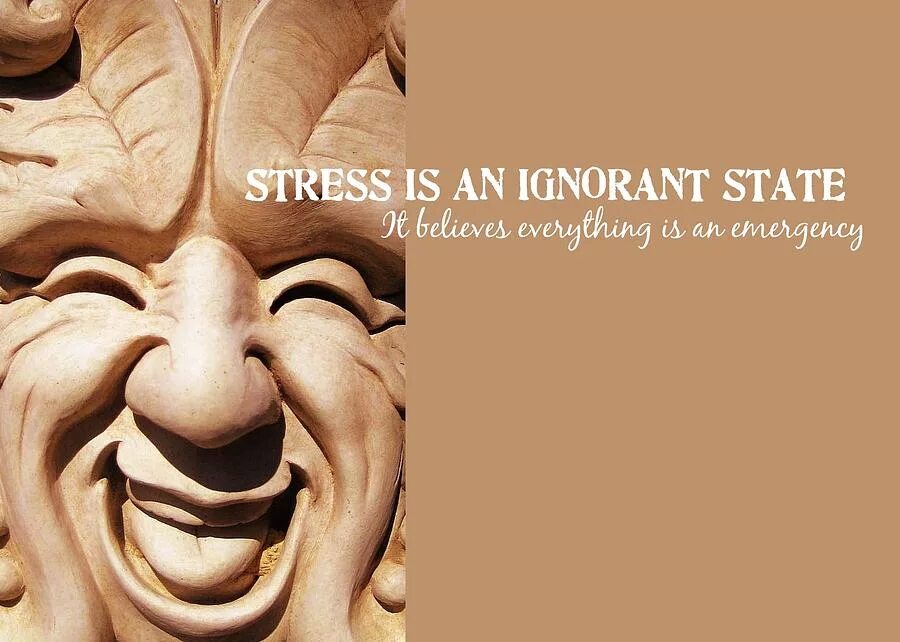 Ignorant. Quotation about stress. ignorant перевод. quotes about stress.