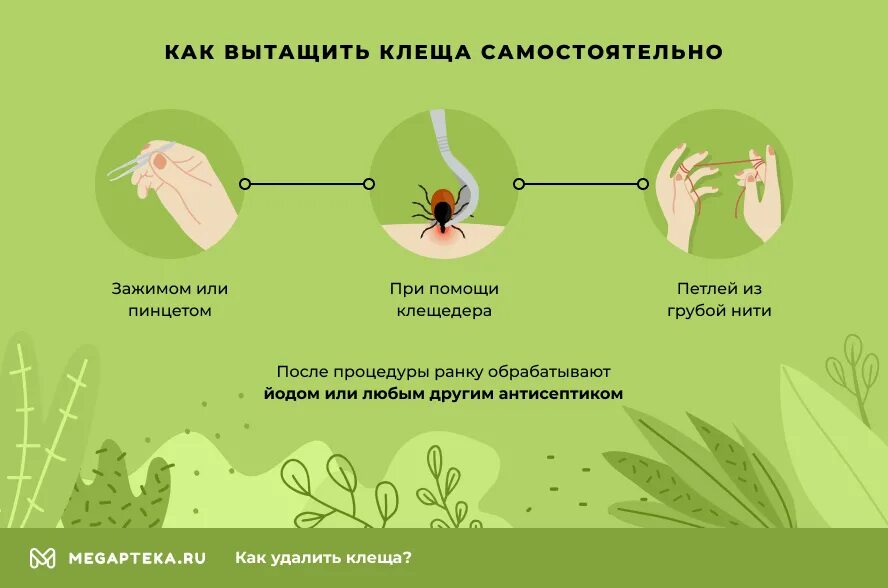 Удалить клеща в домашних условиях у человека. Как самостоятельно вытащить клеща. Как вытащить клеща ниткой. Как вынуть клеща самостоятельно. Вытаскиваем клеща самостоятельно.