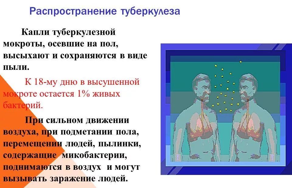 Туберкулез способ распространения. Пути распространения туберкулеза. пути распространения туберкулезной инфекции. пути распространение туберкулезной инфекции в организме человека. пути распространения микобактерий туберкулеза.