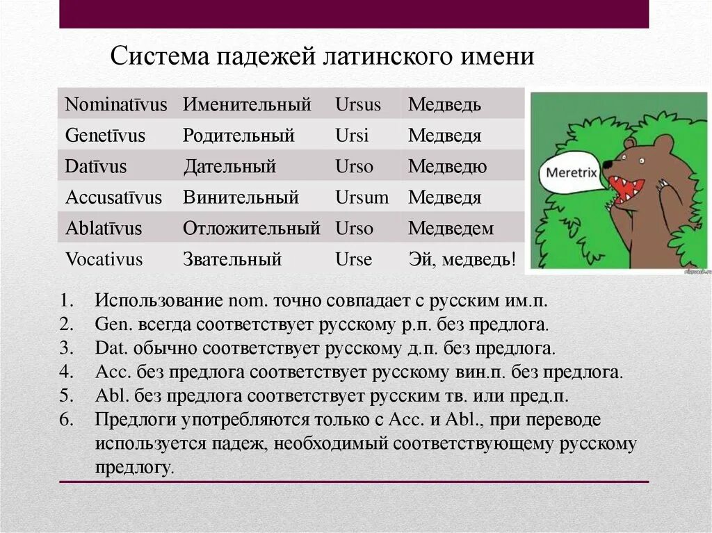 Падежи в латыни. Падежи в латыни с переводом на русский. Названия падежей на латыни. Название падежей в латинском языке. Конспект в переводе с латыни обзор это