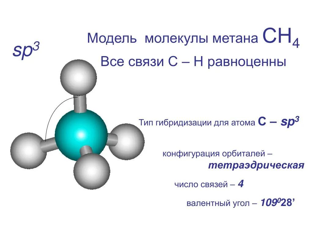 Алканы имеют молекулярное. Строение метана алканы. Алканы метан молекула. Алканы строение молекулы алканов. Алканы sp3 гибридизация.