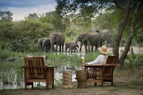 Safari romance