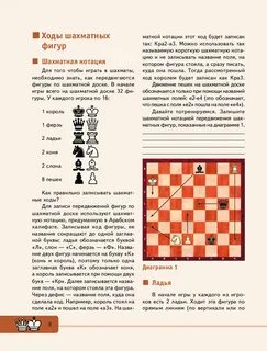 Шахматы для начинающих картинка