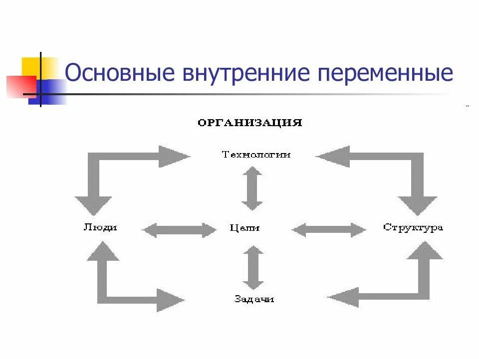 Основные переменные организации