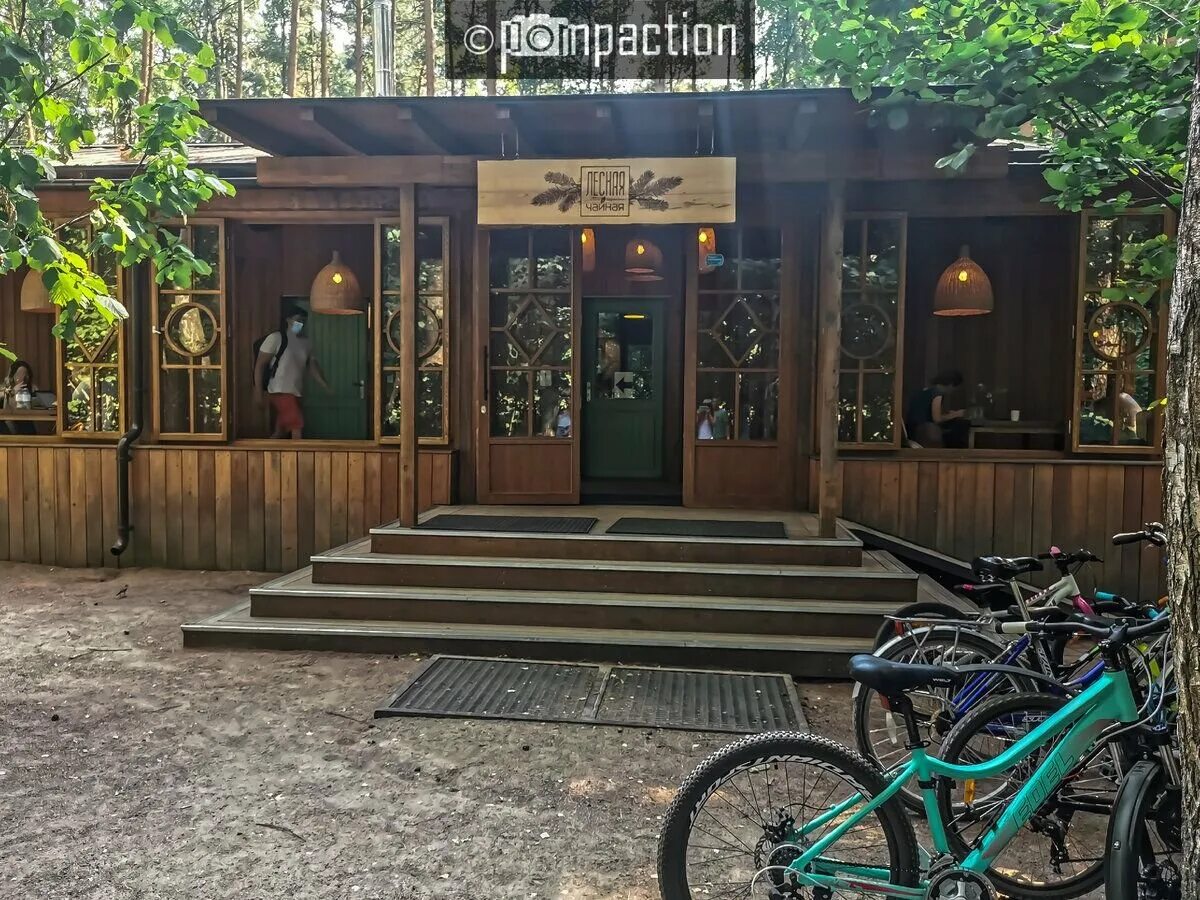 Тропинка курск. Тропинка курск