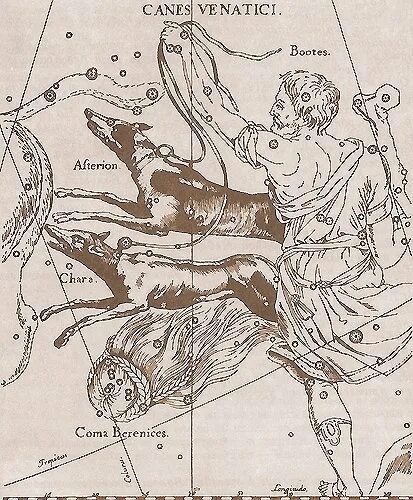 Гончие псы звезды. Гончие псы гевелий. гончие псы атлас гевелия. созвездие гончие псы на карте звездного неба. астеризм созвездия гончие псы.