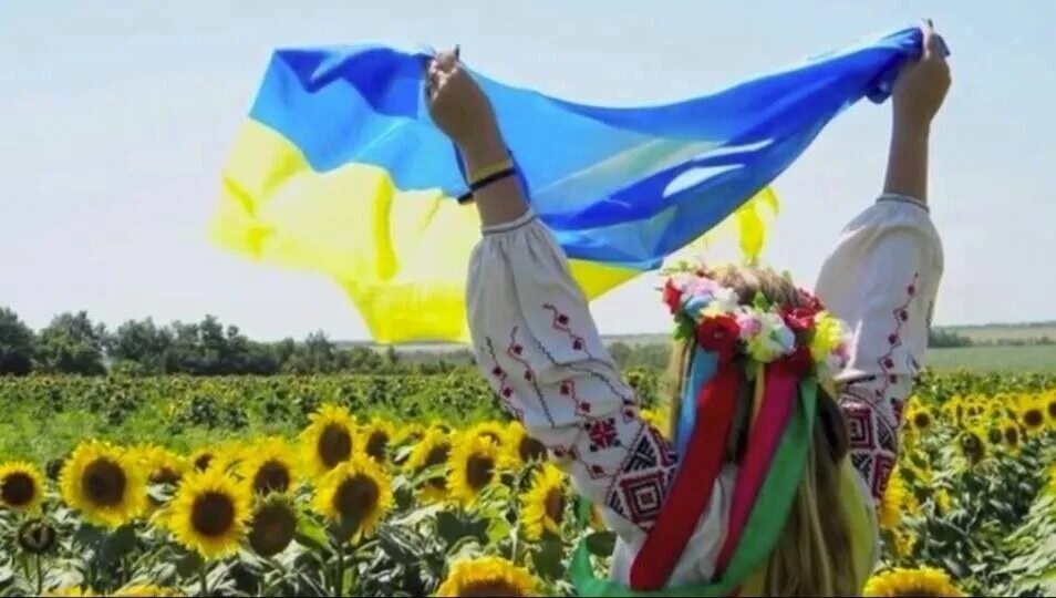 Флаг Украины. Красивый флаг Украины. Z В цветах украинского флага. Дети с украинским флагом.