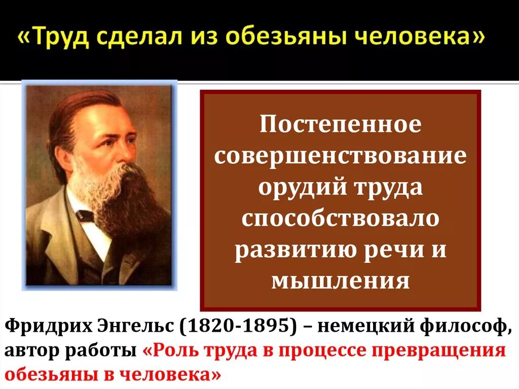 Труд сделал из обезьяны человека. Труд создал человека Энгельс. Труд создал из обезьяны человека кто сказал.