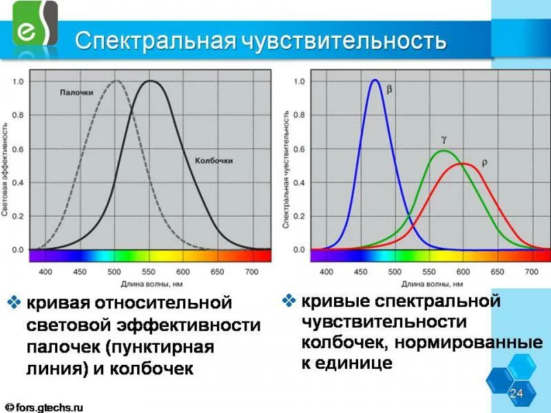 Чувствительность детектора. Кривая спектральной чувствительности глаза. Спектральная чувствительность. Спектральная чувствительность колбочек. Чувствительность колбочек и палочек.