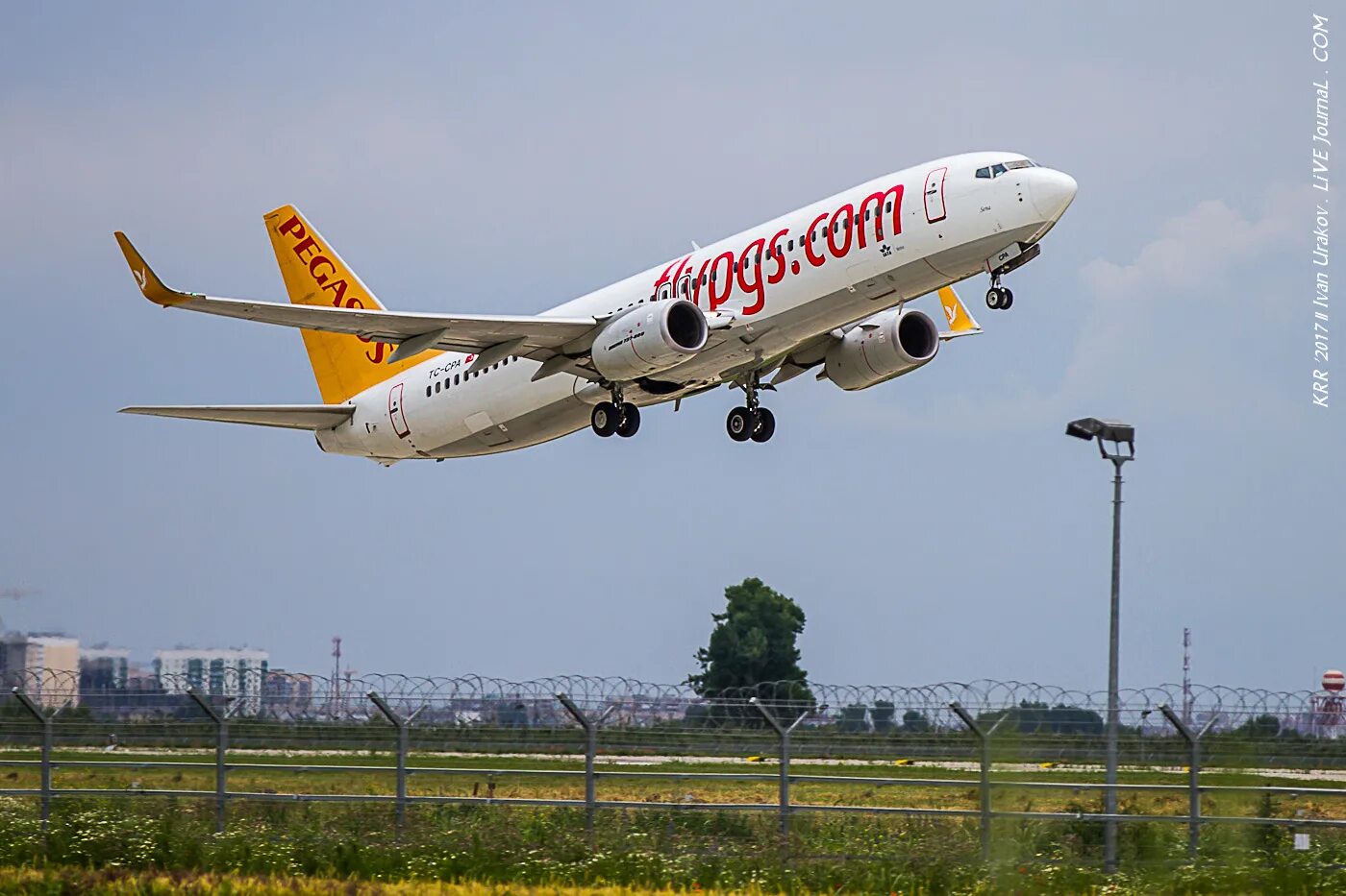 Пегасус эйрлайнс отзывы. Pegasus Airlines самолеты. Pegasus Airlines Boeing. Авиакомпания Пегасус рейсы. Pegasus Airlines чартер.