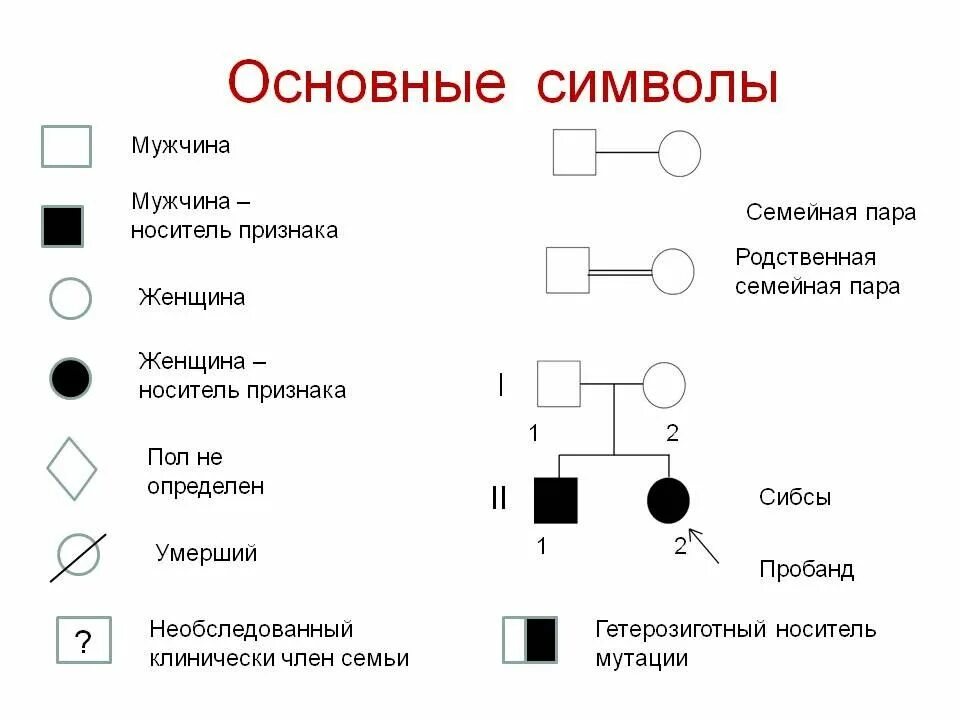 СИБСЫ пробанда это. Типы наследования признаков у человека. Основные типы наследования признаков у человека. Пробанд СИБСЫ символы