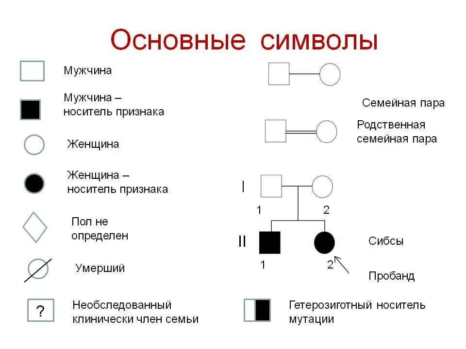 Типы наследования признаков». Наследование. Родословные генетика Тип наследования. Аутосомно-доминантный Тип наследования. 9331 Тип наследования.