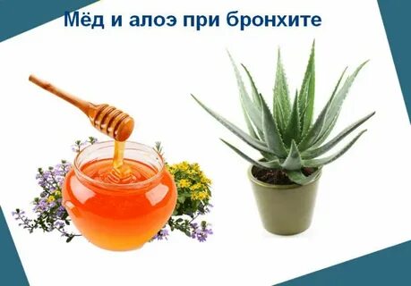Алоэ от кашля