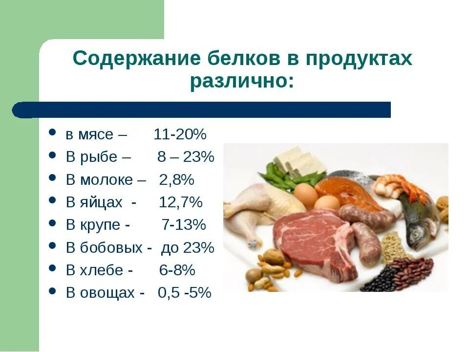 В каких продуктах есть мясо. Белок в продуктах. Продукты содержащие белки. Белки в продуктах питания. Содержание животных белков в продуктах.