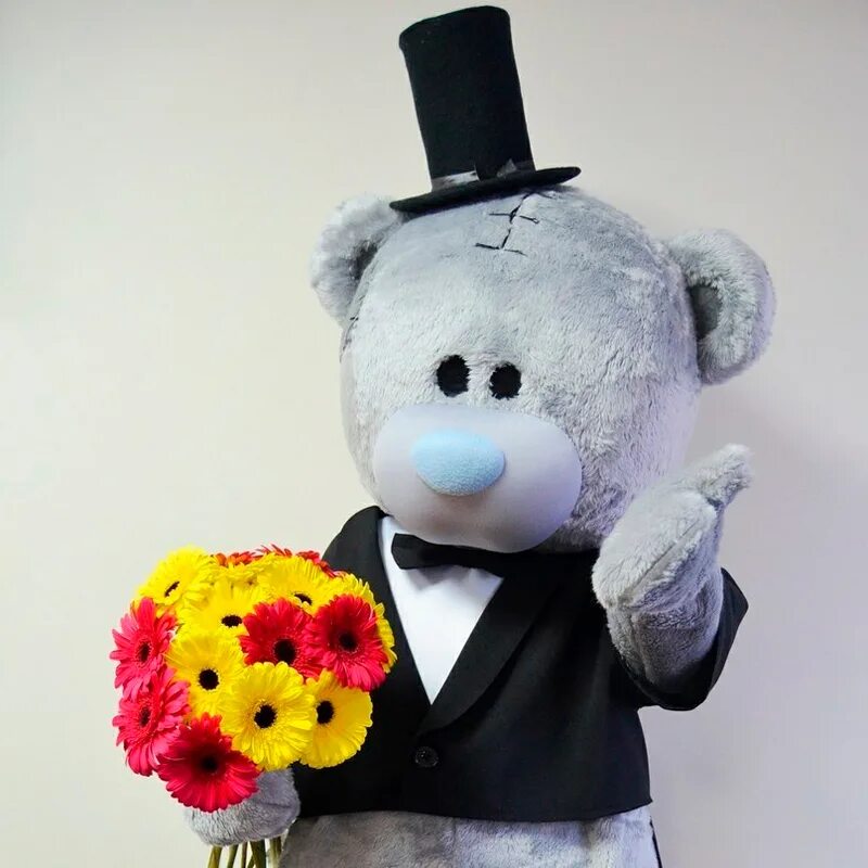 мишка тедди аниматор. мишка тедди ростовая кукла. ростовая кукла мишка. ростовая кукла белый медведь. ростовая кукла мишка.