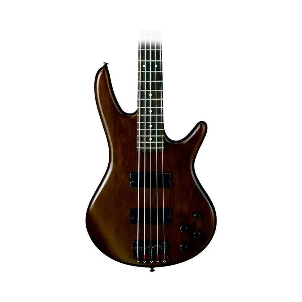 Бас ibanez gio. Ibanez sr305. ibanez sdgr sr300.
