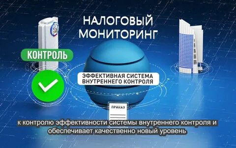 Финансовый мониторинг налоговой службы