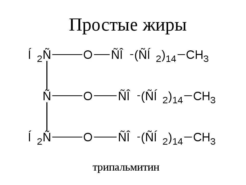 Гидролиз трипальмитата