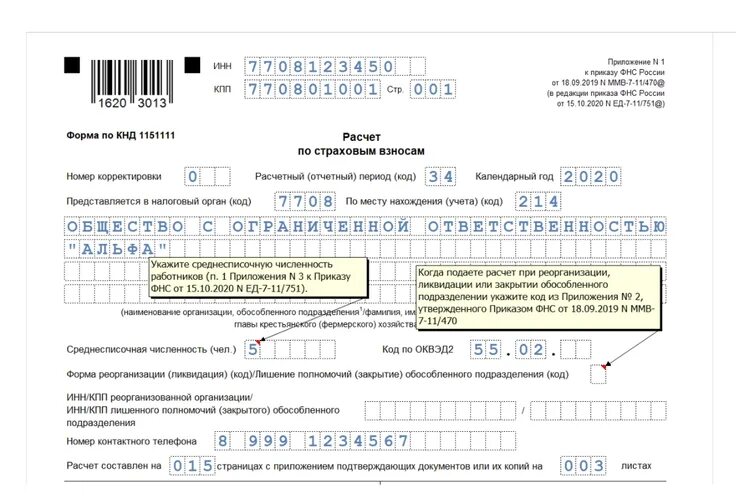 Как правильно заполнить ефс 1 за год
