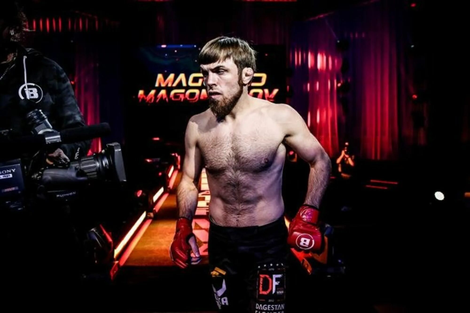 Магомед Магомедов ММА Bellator. Магомед Магомедов тигр Беллатор. Беллатор сегодняшний бой Магомед Магомедов. Интервью после поражения