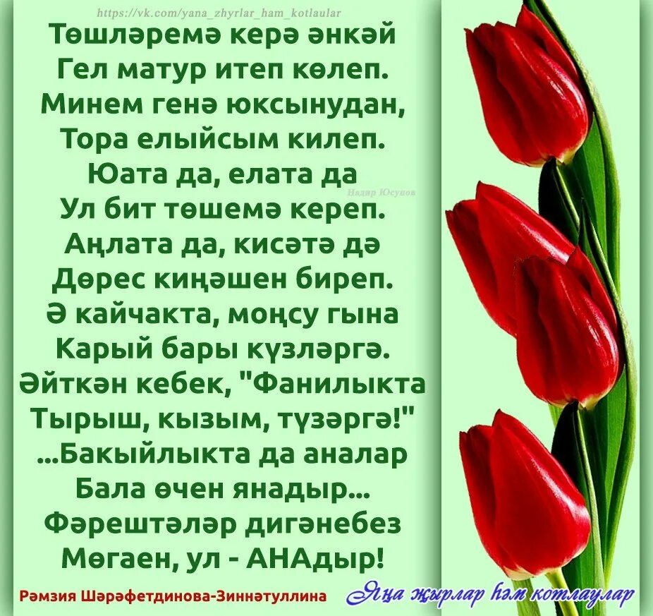 Жырлар на татарском. Шигырьлэр. Эниемэ стихи на татарском. Картинки котлаулар. Энием стихи.